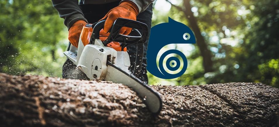 Corso per motosega e attrezzi da taglio (motosega, decespugliatore...)